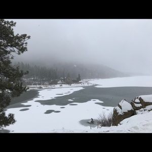 Meet your Posher, Sharon